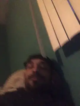 BEBE5757 online show from March 2026 11:49:02 AM