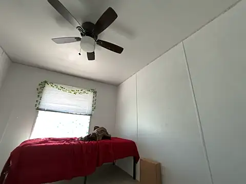 moan4mona online show from March 2026 05:49:01 PM