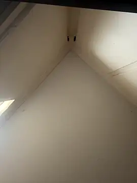 curis4270panda online show from November 2025 01:50:02 AM