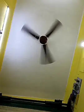 Sonjack7991 sj online show from March 2026 04:39:01 AM