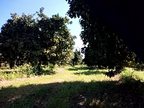 Snapshot of stefanoss321 chatting on March 2026 09:24:01 AM stefanoss321 online show from March 2026 09:24:01 AM