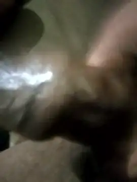 Curvy Pounder online show from April 2026 11:57:01 PM