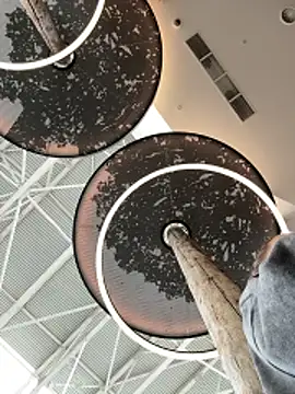 StephanieMur online show from October 2025 04:44:02 AM