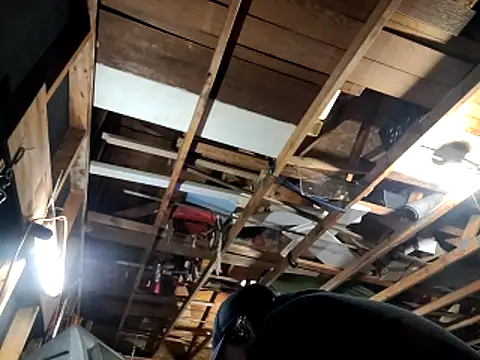 thejuicybacon online show from November 2025 02:10:01 AM