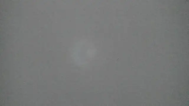 Sophia Ebony online show from February 2026 12:31:01 PM