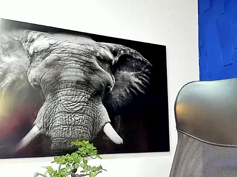 king falconer online show from December 2025 12:49:02 AM