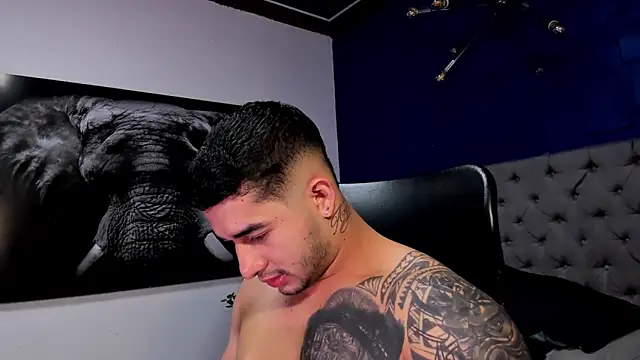 king falconer online show from December 2025 12:50:02 AM