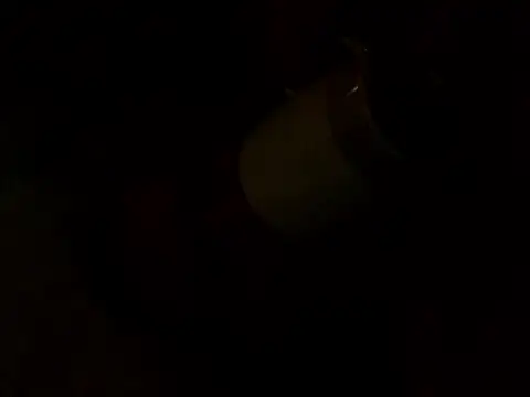 PointXXL online show from December 2025 02:33:01 PM