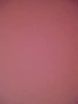 PointXXL online show from March 2026 03:05:02 PM