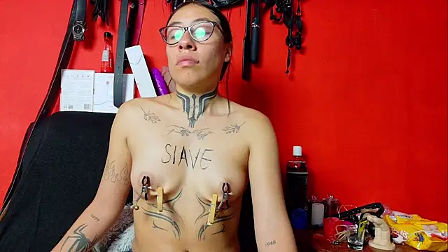 Dunnadan Bms online show from March 2026 05:56:01 PM