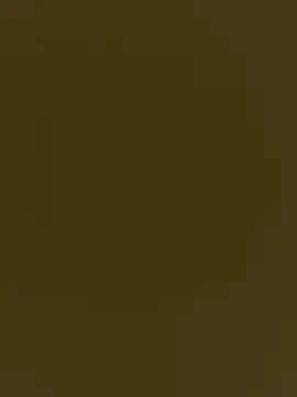 whitebullock online show from March 2026 05:06:01 PM