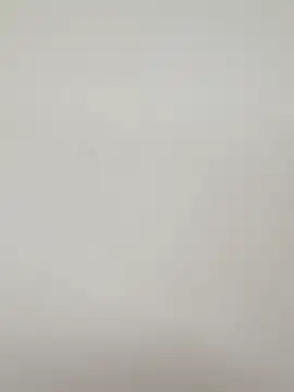 guridosul051 online show from March 2026 11:46:02 AM