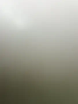 guridosul051 online show from April 2026 11:13:02 AM