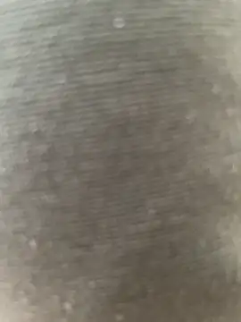 Marius1991 online show from November 2025 08:37:01 AM