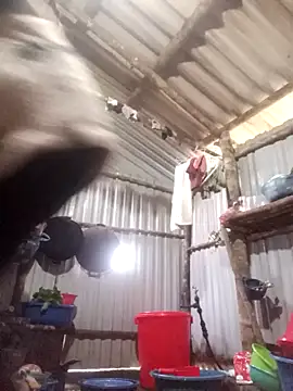 Snapshot of jienrrr chatting on December 2025 12:16:02 AM jienrrr online show from December 2025 12:16:02 AM