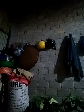 Snapshot of jienrrr chatting on February 2026 11:30:01 AM jienrrr online show from February 2026 11:30:01 AM