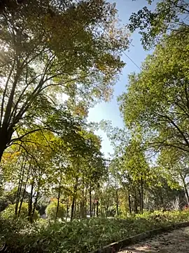 Xiao-meng66 online show from November 2025 03:38:01 AM