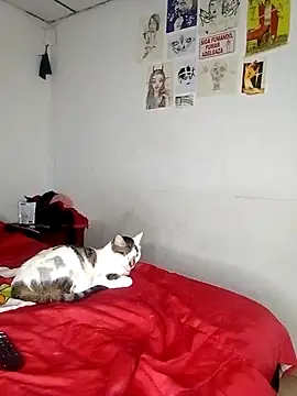 venusobryan 55 online show from September 2025 11:07:01 PM