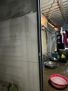 ThiHa003 online show from April 2026 12:55:01 AM