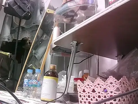 -Luxury online show from March 2026 11:49:01 AM