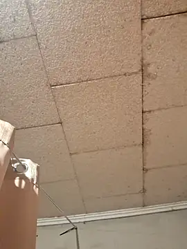 Tudiablita21 online show from March 2026 02:12:02 PM