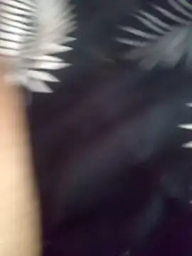 jocafe1995 online show from February 2026 07:20:01 PM