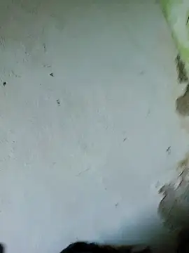 perversa068 online show from February 2026 11:27:01 AM