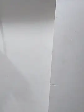 sneha bebo online show from November 2025 03:47:02 PM