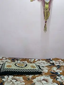 sneha bebo online show from April 2026 03:20:01 PM