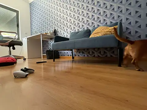 cumman789860 online show from October 2025 02:35:02 PM