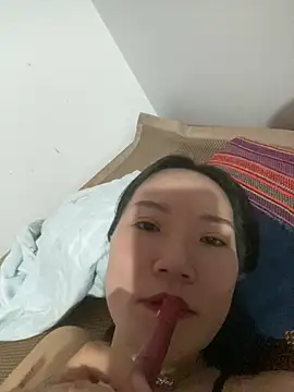 tttan1 online show from August 2026 01:07:01 AM