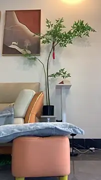 zhizhinaigai online show from January 2026 04:05:01 AM