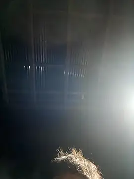 usu0130 online show from October 2025 02:07:02 PM