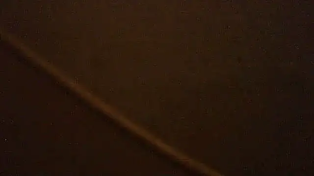 pietje1991 online show from March 2026 09:19:02 PM