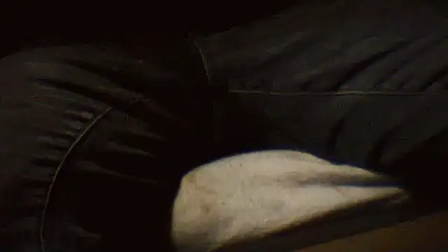 pietje1991 online show from March 2026 10:27:01 PM