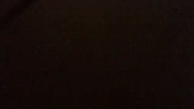 pietje1991 online show from April 2026 01:50:01 AM