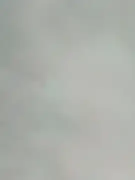 saik 03 online show from February 2026 07:31:01 PM