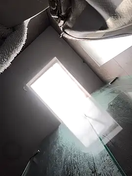 Cami Konor online show from January 2026 03:14:01 PM