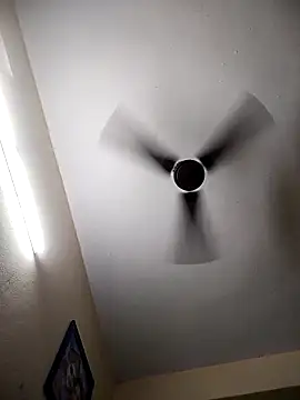 Snapshot of Devi-with-Ram chatting on November 2025 02:42:02 PM Devi-with-Ram online show from November 2025 02:42:02 PM