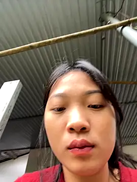 Phayphay77 online show from November 2025 01:48:02 AM