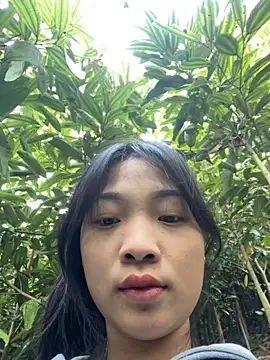 Phayphay77 online show from November 2025 01:05:02 AM