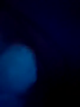 treefrog2025 online show from September 2025 11:28:01 PM