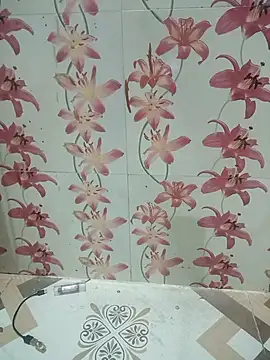 Snapshot of Meenaksi-singh chatting on October 2025 07:42:02 PM Meenaksi-singh online show from October 2025 07:42:02 PM