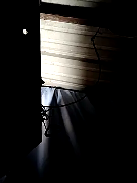 ShawnandDani7074 online show from April 2026 07:47:02 AM