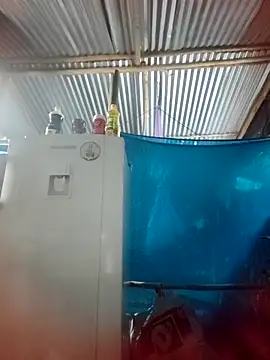 Lily-o online show from November 2025 10:42:02 PM