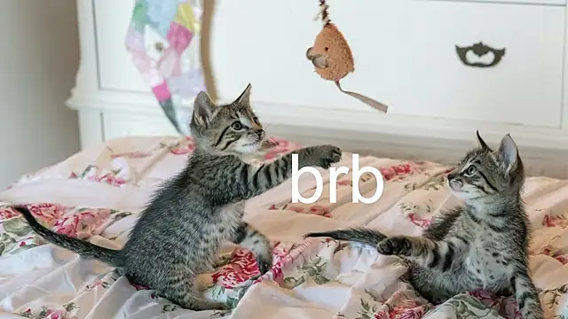 Pink girl0n online show from March 2026 11:44:01 PM