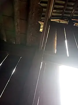 Snapshot of Mamapm20 chatting on September 2025 12:23:02 AM Mamapm20 online show from September 2025 12:23:02 AM