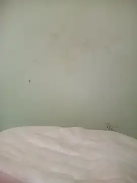 mytran16xh online show from April 2026 11:06:01 PM