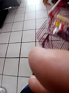 cicinha3657 online show from February 2026 06:30:01 PM