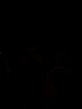 Lujor online show from April 2026 10:57:02 PM